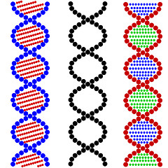 Image showing DNA Symbols . Vector illustration.