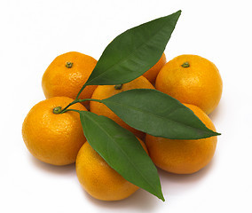 Image showing Ripe tangerines or mandarin with leaf isolated on white backgrou