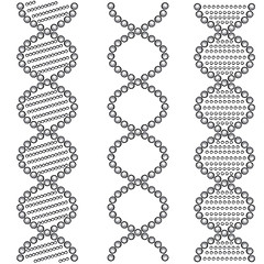 Image showing DNA Symbols . Vector illustration.