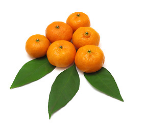 Image showing Ripe tangerines or mandarin with leaf isolated on white backgrou