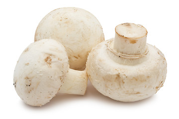 Image showing Champignon mushrooms