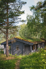 Image showing Typical norwegian house with grass on the roof