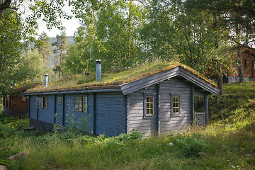 Image showing Typical norwegian house with grass on the roof