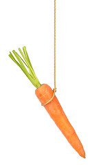 Image showing Carrot on String