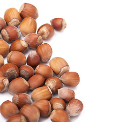 Image showing Hazel nuts