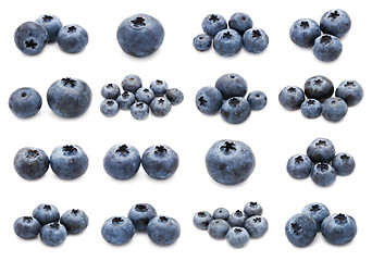 Image showing Blueberry set