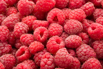 Image showing Raspberries