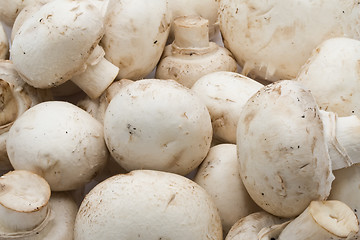 Image showing Champignon mushrooms