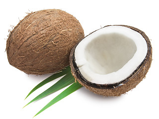 Image showing Coconut