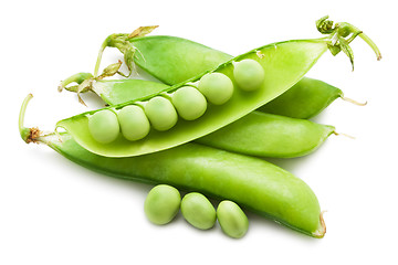 Image showing Pea