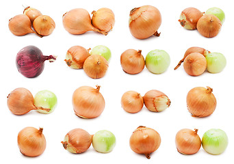 Image showing Onion