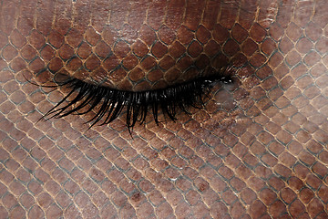 Image showing Women eye, close-up