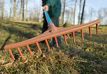 Image showing Bringing order in the Park in autumn