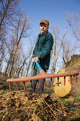 Image showing Elderly worker running in the park