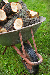 Image showing An old wheelbarrow full of firewood