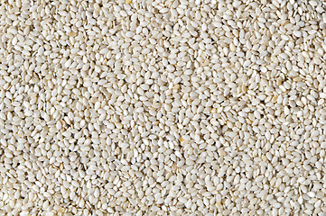 Image showing Sesame seeds