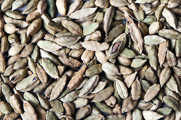 Image showing Green cardamom pods (or cardamon)