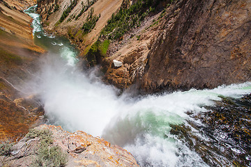 Image showing The famous Lower Falls in Yellowstone National Park