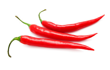 Image showing Hot chili pepper