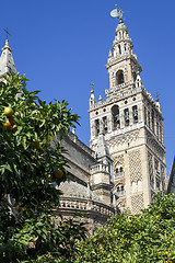 Image showing Giralda tower, the belfry of the Cathedral of Sevilla