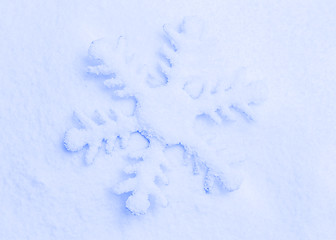 Image showing Snowflake on the snow.