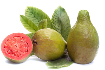 Image showing Fresh Guava fruit with leaves on white background 