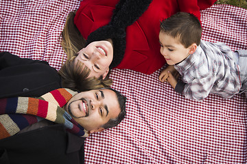 Image showing Family in Winter Clothing Laying on Their Backs in Park