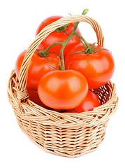 Image showing Ripe Tomatoes