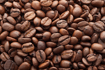 Image showing Coffee beans