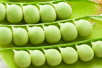 Image showing Pea