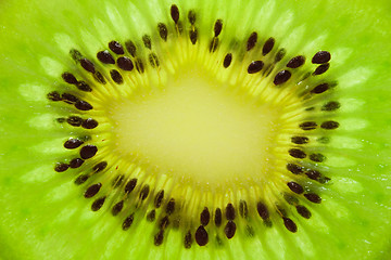 Image showing Kiwi