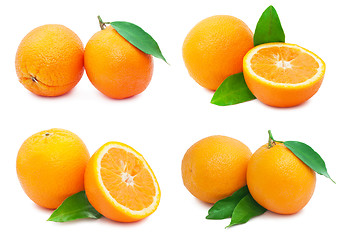 Image showing Oranges