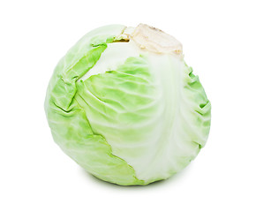 Image showing Cabbage