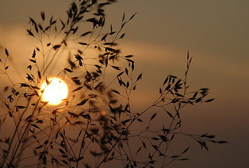 Image showing Norwegian sunset