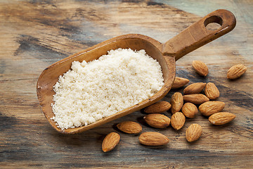 Image showing blanched almond flour