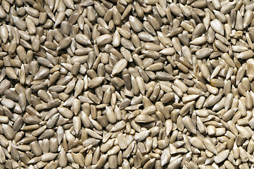 Image showing Sunflower seeds