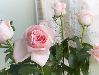 Image showing Beautiful pink roses