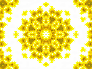 Image showing Abstract pattern of sunflower 