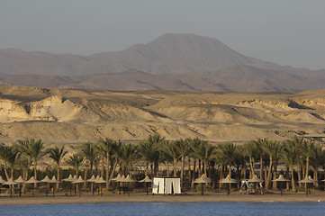 Image showing marsa alam in egypt