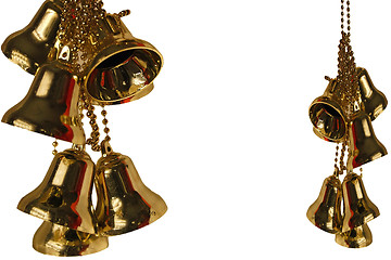 Image showing clusters of golden bells