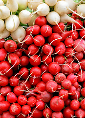 Image showing Radish