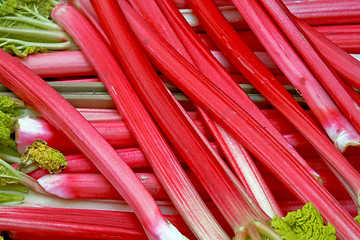 Image showing Rhubarb