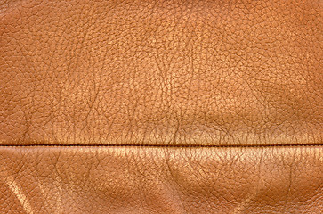 Image showing Brown leather