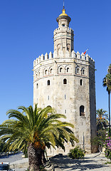 Image showing Magnificent Tower of gold in Seville