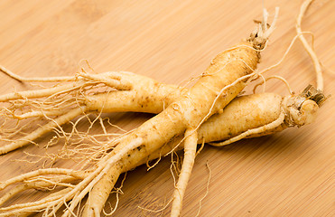 Image showing Ginseng