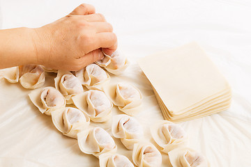 Image showing Homemade Chinese dumplings 