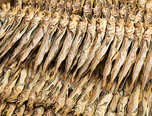 Image showing Traditional salty fish 