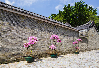 Image showing Traditional chinese garden