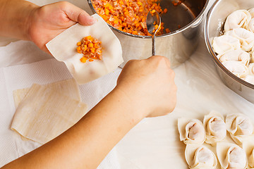 Image showing Making of Chinese dumpling 