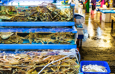 Image showing Seafood market fish tank